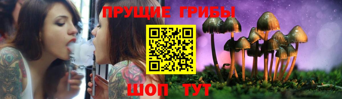 Великий Новгород  Псилоцибиновые грибы мицелий  Вход с VPN 